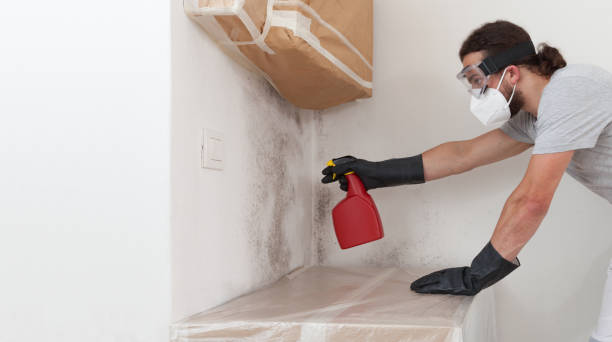 Professional Mold Testing technician working in Groveland, MA