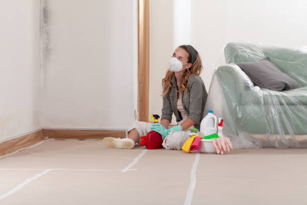 Reliable Mold Testing contractor in Groveland, MA by WQB Mold Removal